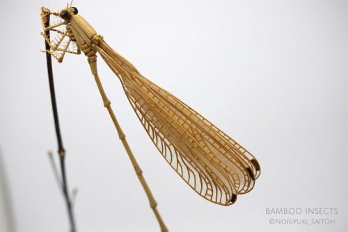 Bamboo Insect Sculptures Brought to Life by Noriyuki SaitohNoriyuki Saitoh stays true to his Japanes