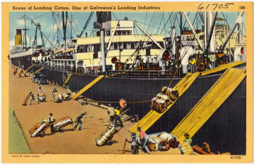 Steamer at Galveston 1930s&hellip; longshoremen are loading cotton. One of Galveston’s lea