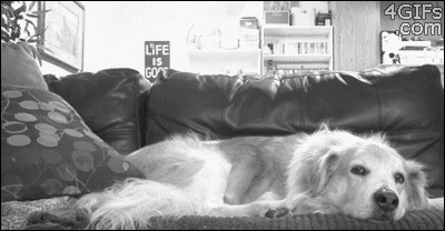 D'aww &lt;3