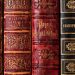 my-cozy-library: