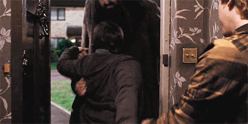 harrypotterdailly:Harry Potter and the Deathly Hallows Part I (2010)