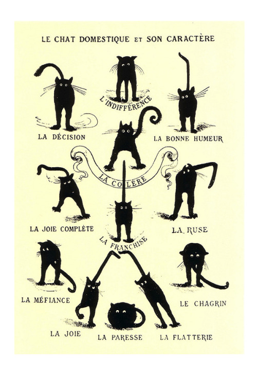 The domestic cat and her character / Le Chat domestique et son caractère, postcard, 19th century. Un