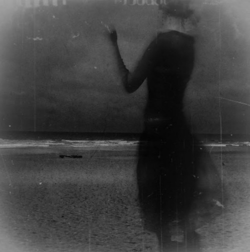 Thea Curtis