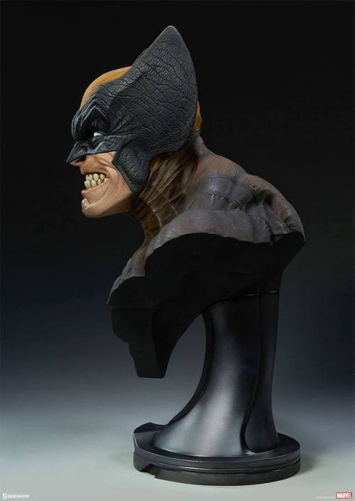 Porn Pics haxanbelial:  Wolverine life-size bust by