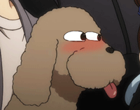 miyakuli:   