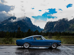 filmwithflair:  1966 Ford Mustang