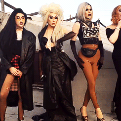 adore-delano:  Jinkx: “Not on my fucking junk.”