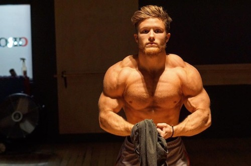 whitepapermuscle:  Jeff Nippard