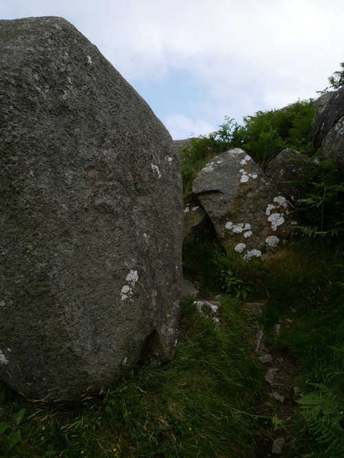 ‘Creigiau Gwineu’ Iron Age Hill fort, Llyn Peninsula, 11.6.17. This hill fort site offers excellent 