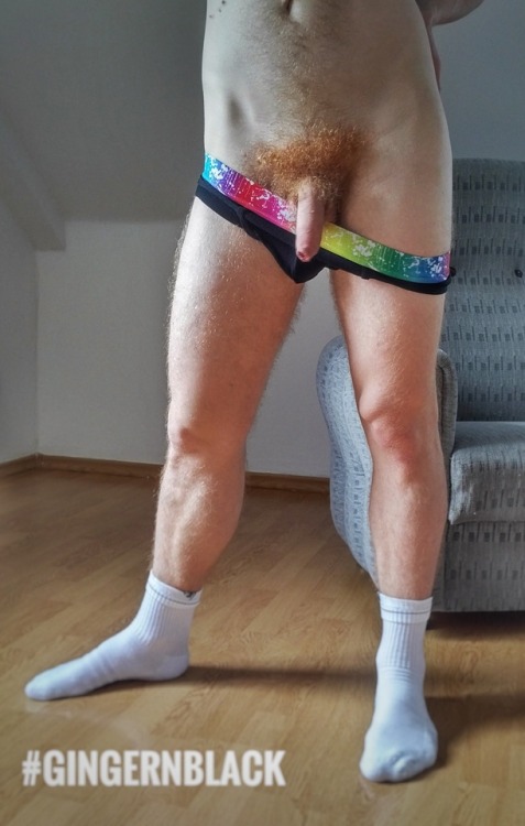ginger-n-black: Mr. Ginger is ready for work (almost). Love how he is hairy :)