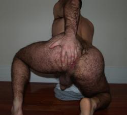 thehairiestmen:  The Hairiest Men - archive of the hairiest men on Tumblr. 