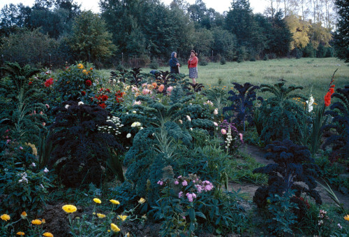 20aliens:USSR. Klin. 1967. The house of Tchaikovsky.Inge Morath