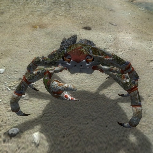 uesp:Something I Appreciated: The omnipresent mudcrab being featured in Morrowind, Oblivion, and Sky