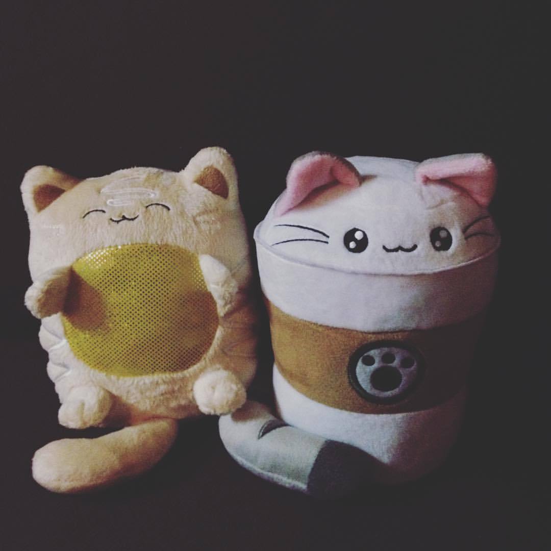 catpuccino plush