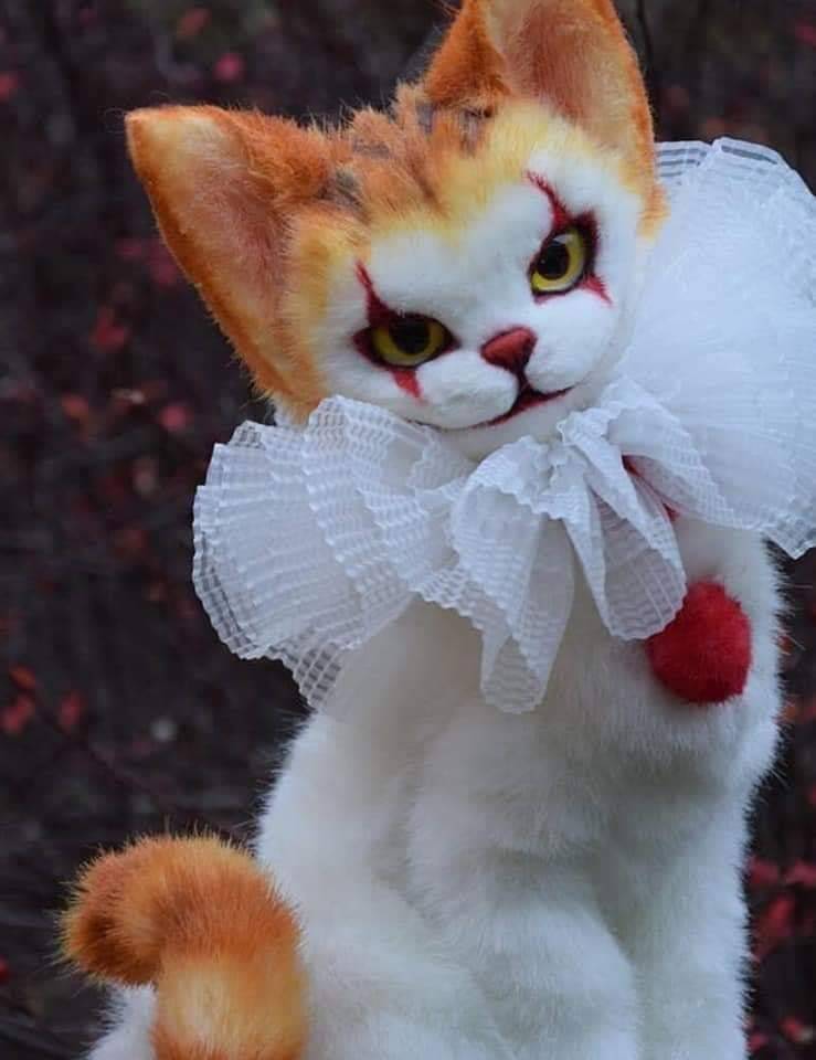 thegingerpowers:Torn between how much I love kitties and hate clowns…