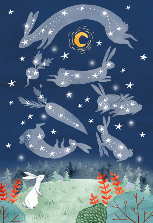 ohmycavalier: What do rabbits see when they stargaze?