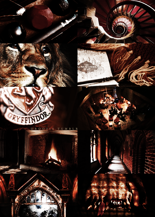 droo216:houses of hogwarts → gryffindor