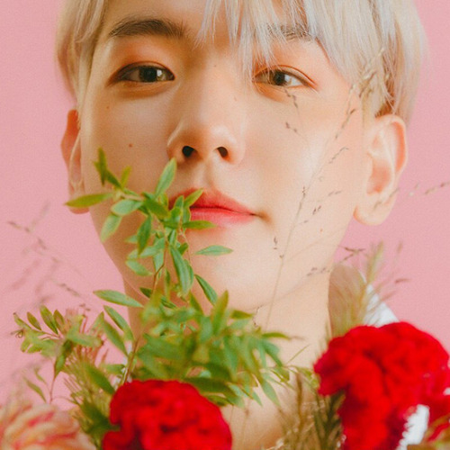 happybbh:  ‘BAEKHYUN’ 1st japanese mini album ✧ 2021.01.20