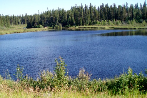 Lake and Boreal Forest, Edge of Canadian Shield, Near Flin Flon, Manitoba, 2006,