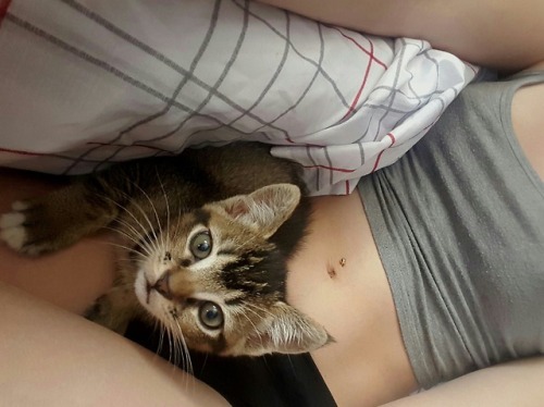 zucbb:i wish i kept this kitten