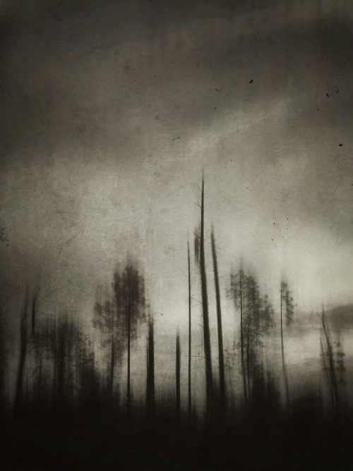 brilliancedarkart:  Today I created a place where I don’t exist.  by Brandon Carroll  