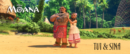 Meet Moana, Maui, and all of the characters of Walt Disney Animation Studio’s Moana when the f