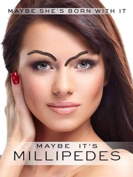 randomitemdrop:depsidase:Item: the hottest new fashion trend, Empathic Forehead Millipedes.