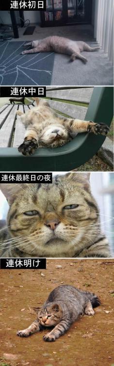 highlandvalley:  Twitter / tarte2525: そろそろGWも終わりなのでいつものやつ。「連休中のお前ら」 …