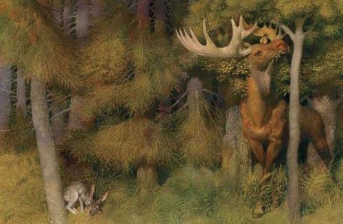 indigodreams:Life in the Boreal Forest Gennedy Spirin@wambaworld