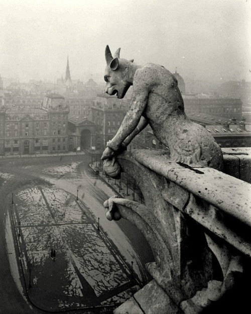 A Gargoyle of Notre Dame, Paris 1920. - Pierre-Yves