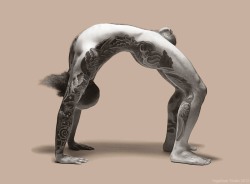 maturegayhomoerotica:  Tom: Yoga Bear Studio