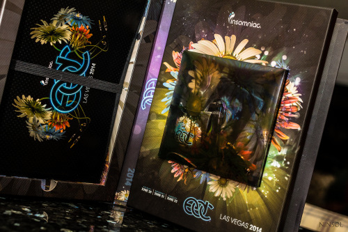 ninsol: EDC 2014