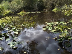 aerations:  I used to come here when I was little and coming back six years later hurts