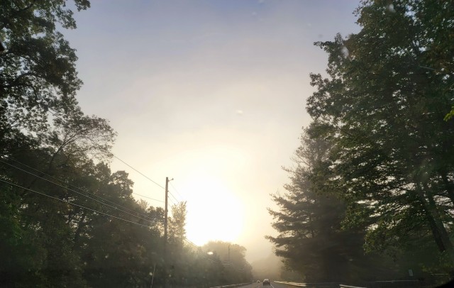 shy-sub-j:Tried to take a picture this morning an the way it turned out made it look