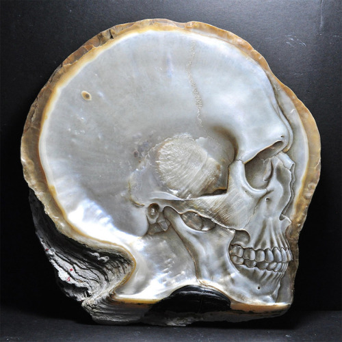 narcissiste:Skulls Carved in Mother of Pearl Shells by Gregory Halili 