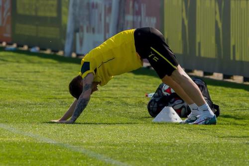 Marco ReusGerman footballer