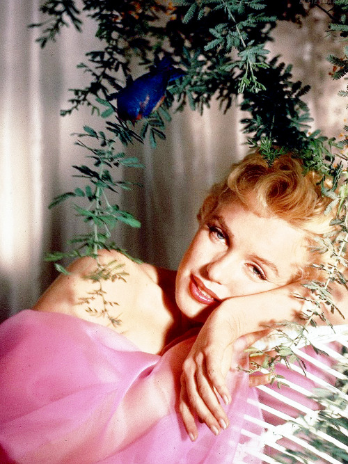 elsiemarina:  Marilyn Monroe by Cecil Beaton, 1956. 