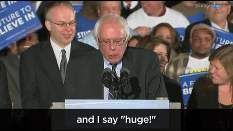 Bernie Sanders wins N.H. handily, as Democrats settle in for a long race