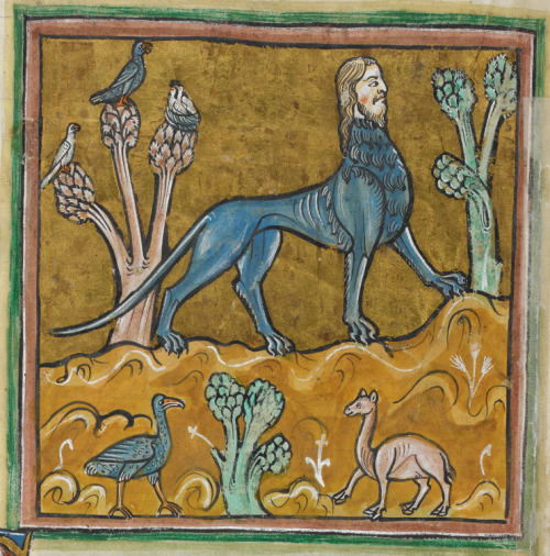 A manticore.  Detail of a miniature from the Rochester Bestiary, ca. 1225-1250.  British L