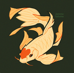 Oxboxer: A Butterfly Koi.