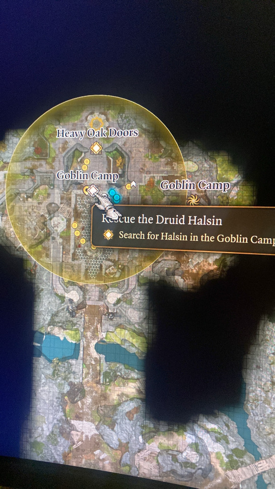 So I May Have Made A Mistake. While Playing Bg3 I Was Going Into The Goblin Camp And I Only Killed The