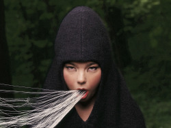 joga:  Bjork - Inez and Vinoodh