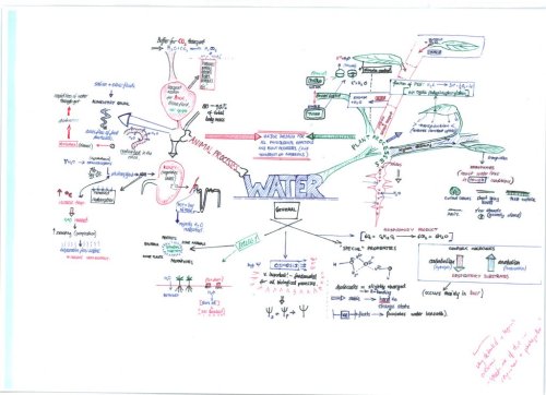 Summary of Water! you do NOT need to know the plant parts for the MCAT.