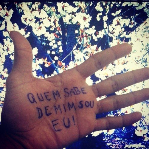 Francamente minha querida, eu não dou a mínima!