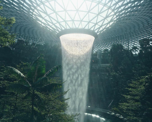 infected:Jewel Changi Airport, Singapore, photo by lordyamsuan