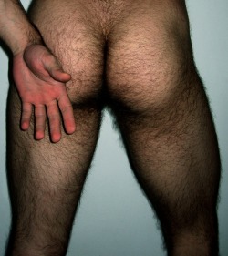 cumpletelyhappy:What a pair of beautiful hairy legs and buns…unfff.