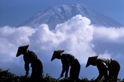 ouilavie:  Burt Glinn. Japan. Mount Fuji.