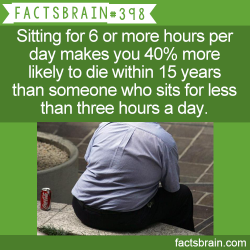 chele323:  the-personal-quotes:  mind blowing facts here  So we should stand when we sleep