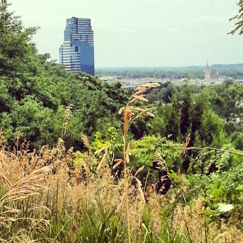 View from #lookouthill #downtown #grandrapids #grgram #highfivelife #fckyeahphotos #Valencia kick.