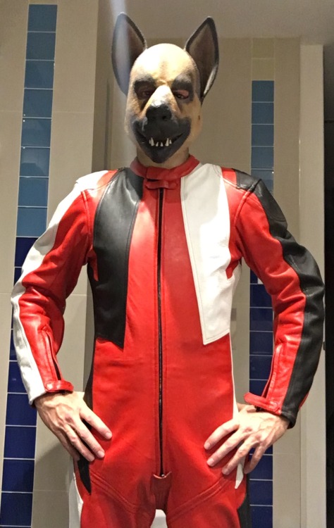 Loving my leather pup suit, scrubbed up well after some good TLC, cleaning and conditioning…